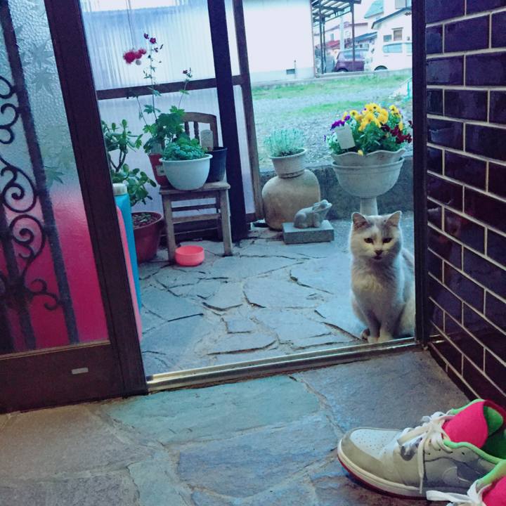 41797fd0 2574 435f 8ae2 90513cf4aa4f