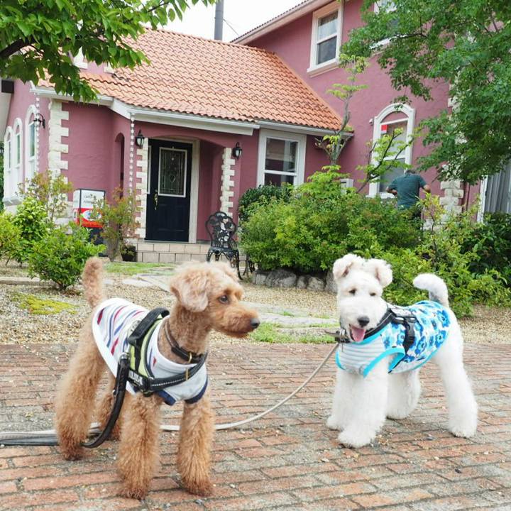 41798f3e bd87 42ca 838a b62bab1f8a8e