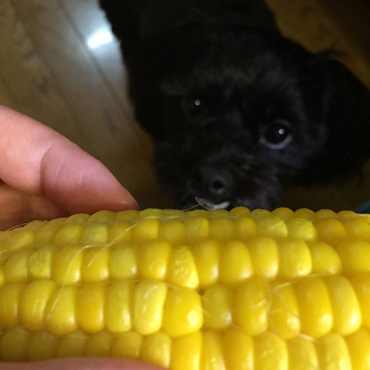 417a23b5 9e22 47cd 835e ae51bdb19d29