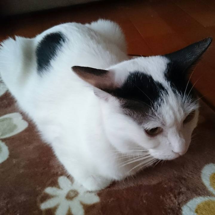 417a67a9 404c 4586 ba10 b512b023beb5