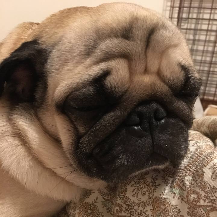 417a7db5 7b9b 475a abd9 569f4420bf2b