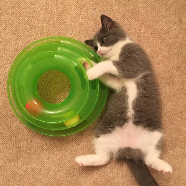 417c1da6 b665 405b ad80 86f732bcb93f