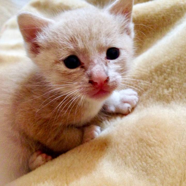 417c9dd5 516f 4697 9ad9 57de42ecae9e