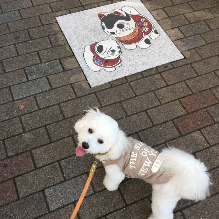 417cccaf 3d8b 4bd7 9f12 89ef4fa23116