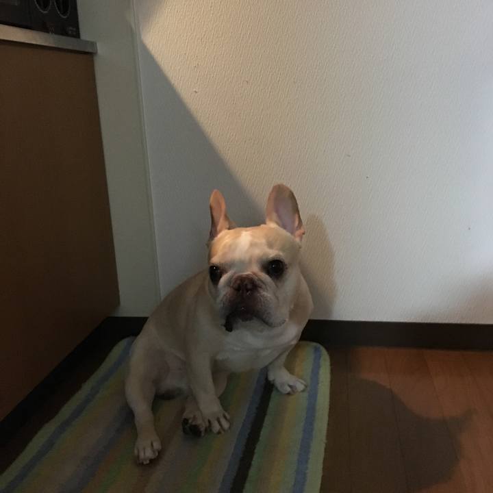 417d0dd6 d583 4477 b1f6 921296039026