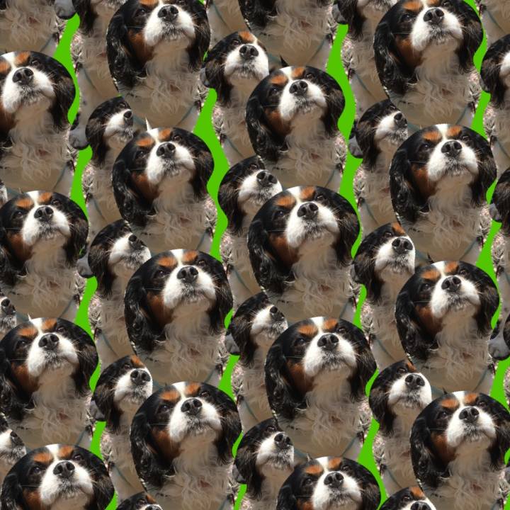 417da51f 4aa4 452c ad6d 413681699e21