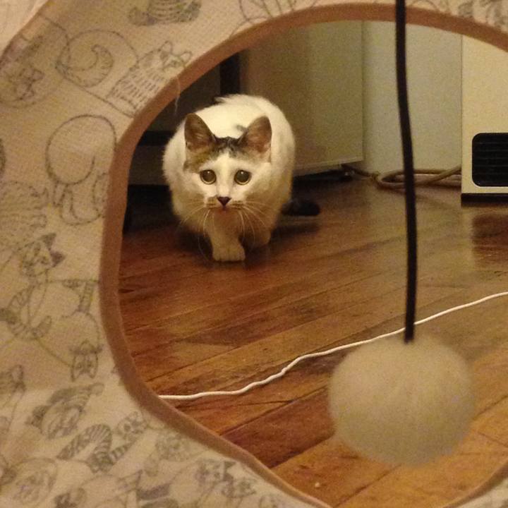 417de942 bb2d 40ce bf2c 8a445c11f588