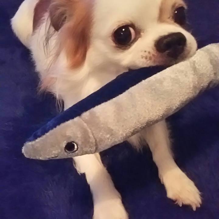 417df47b 814d 4a3e 996b 1e53c8975415