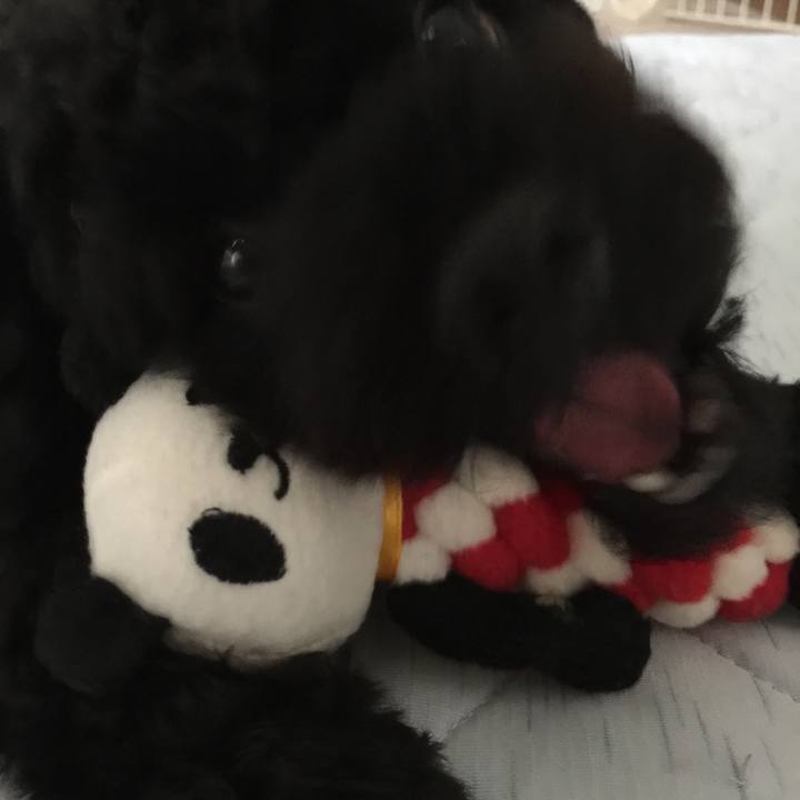 417e1925 8d27 49a8 abfb fdcf8f1ab1ad