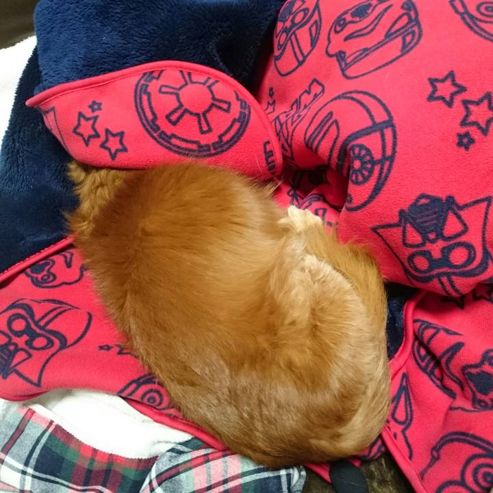 417e3ae8 fe90 42fa a3b1 73fc4548e087