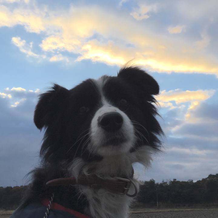 417e5902 e4f1 4df4 b039 39df0596d1dc