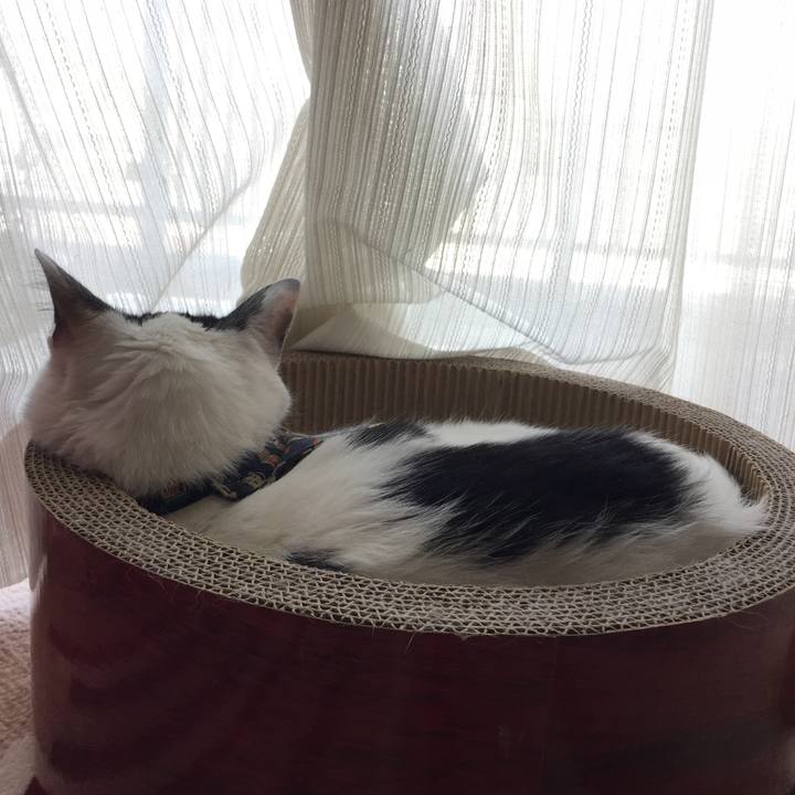 417e8074 9812 4798 856c d01f680cbcfd