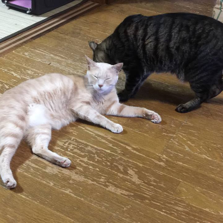 417eacb1 d331 41b1 bf64 6b000676e28d