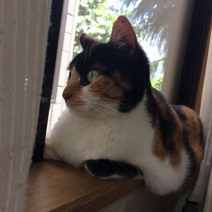 417eeebd e065 4b89 aed4 9621660316cf