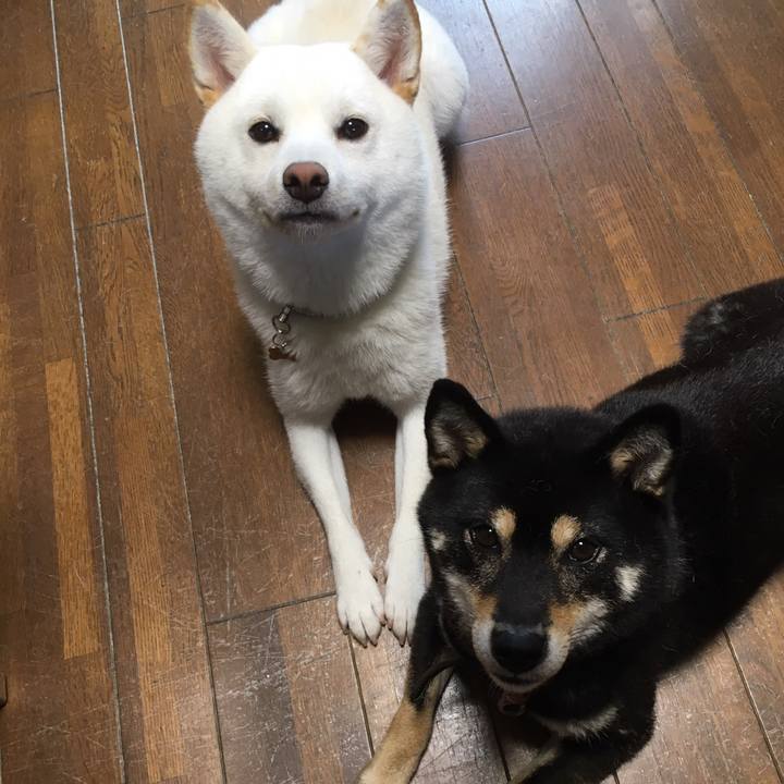 417f146a 2abb 42d1 9e1f 8e4fad4eeab7