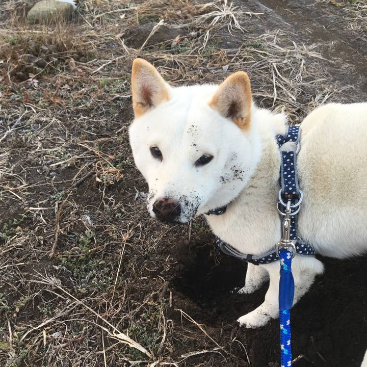 417fd186 f3f3 4f8a b3ca 4a7df4e4297f