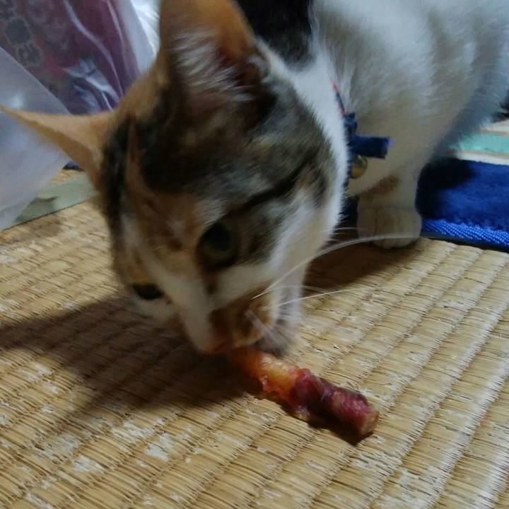 417ff778 acd4 4287 8202 6f76275945e6