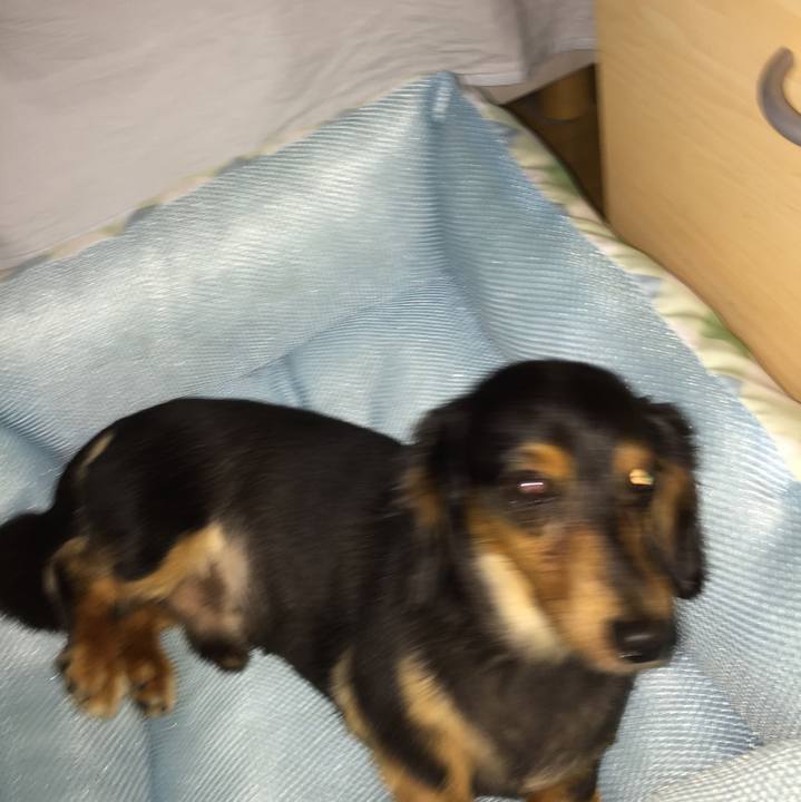 41819017 02d6 4094 a001 e7a5ed565c48