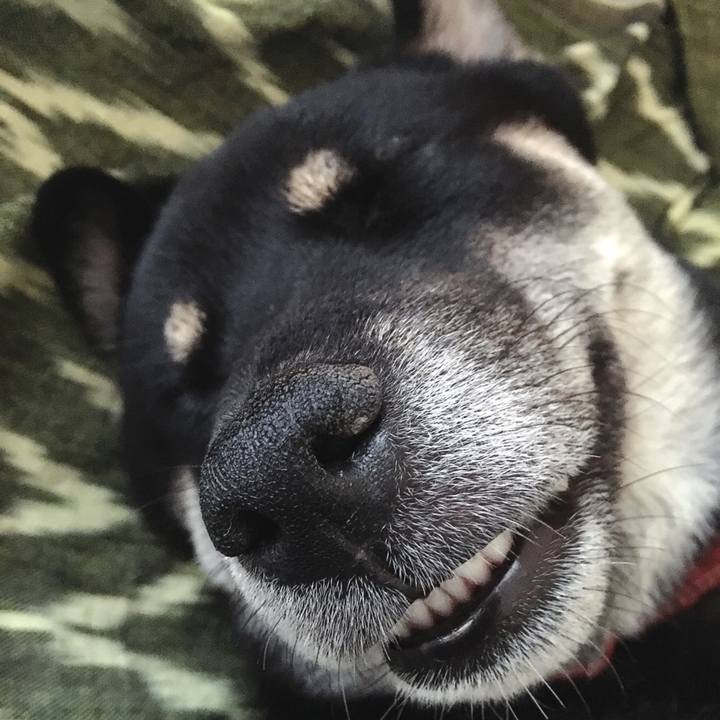 418273b7 1f4e 4c6b bd46 16199fee96e4