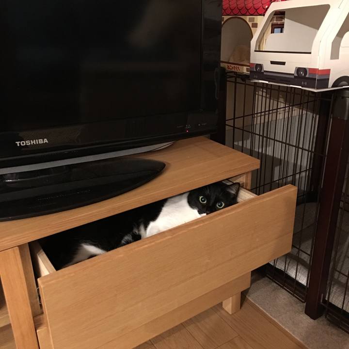 41837ccc 4789 4276 876c a522aed1de47