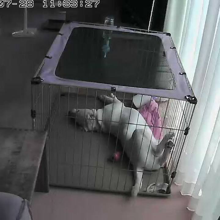 41840c19 af6e 4e4c a37a 9faf93a86f49