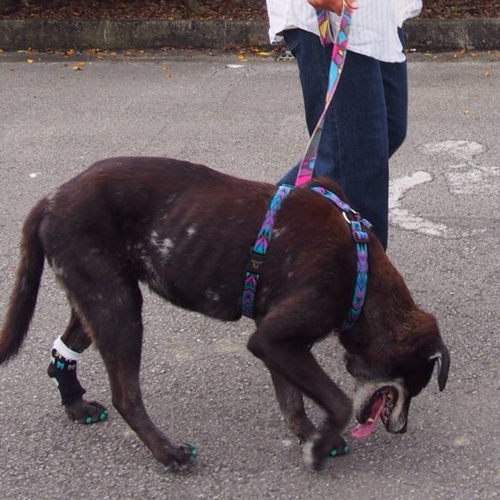 418515fb 6b23 42dd a338 de3825035935