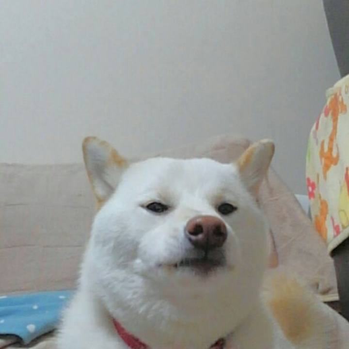 4185e70d eb1f 4627 95b3 33a2183e46a3