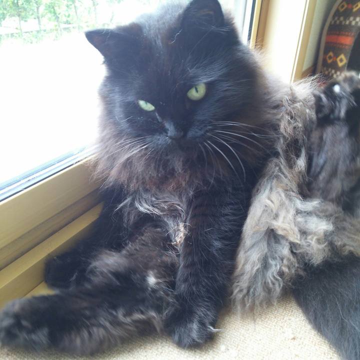 4186169e 9510 4423 a6ae 636656a9092e