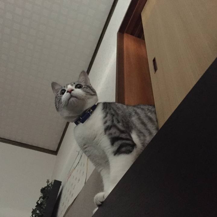 4186eb44 e304 4c41 8372 f2f3d8dc5cea