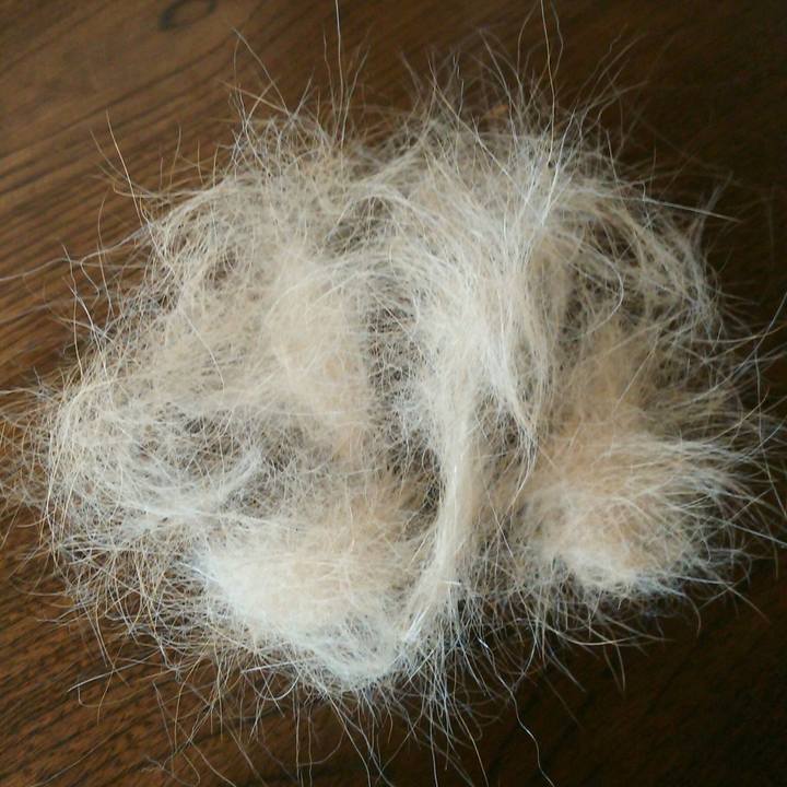 41876a8d 2780 4ec1 abad 76cf91f5d714