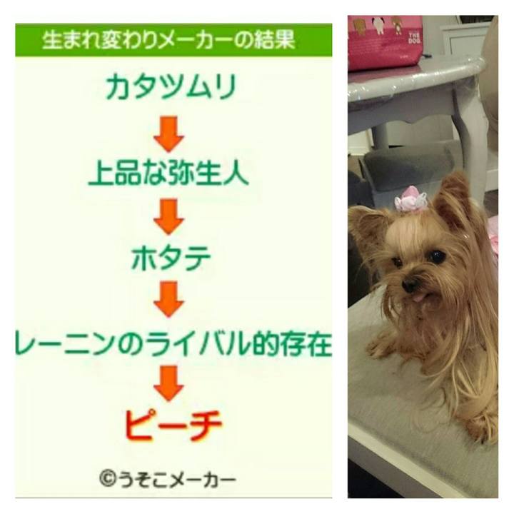 41882d98 9da7 460f ad67 9384930d53f3