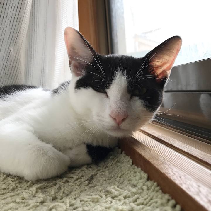 4188a0d2 ae85 4ea2 a859 90d934ae773d