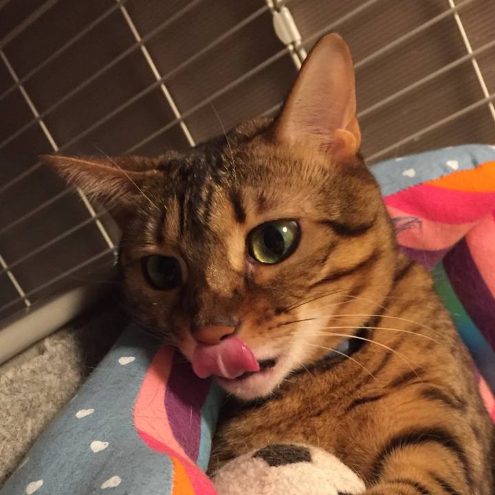 4188ec7a 7b0a 43e6 acf9 1f9b46897a54