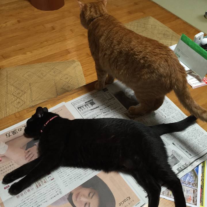 4188f487 d0f1 48bc 895e 6276adfad354