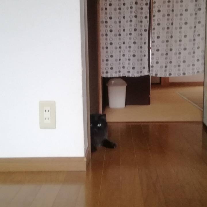 4189700f 5496 4a3e 8e6f 924467350248