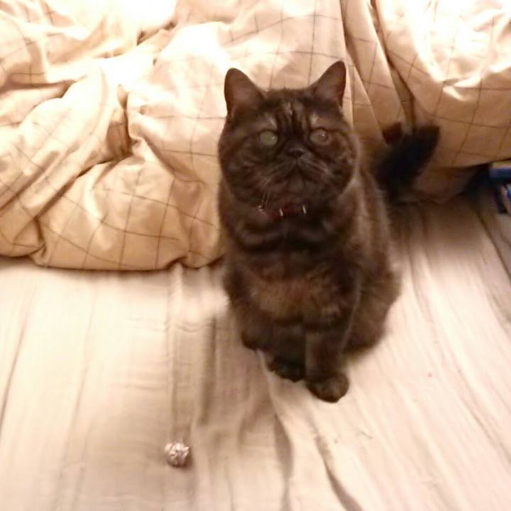 4189af5f f83f 4532 8f3d 5655dcfef0ed