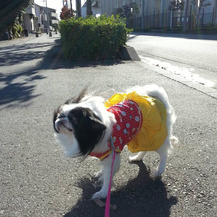 4189bdff f476 4302 95eb 90fb4fed20ff