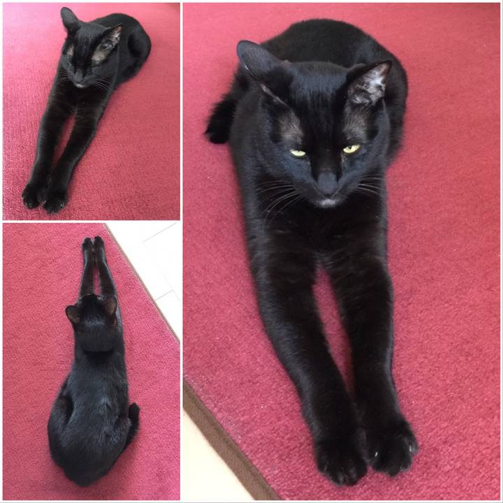 418aa541 4ef2 473d 8ec3 fde3c9fb702f