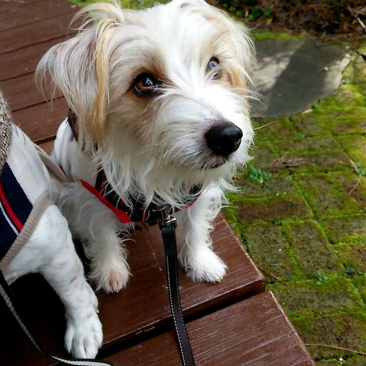 418ac6c2 bffa 4621 b18d ab80c8bda88f