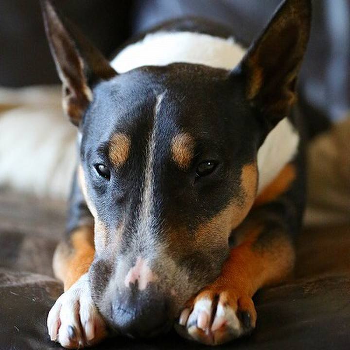 418bc5be 748b 4a5e b01d 10145cc22368