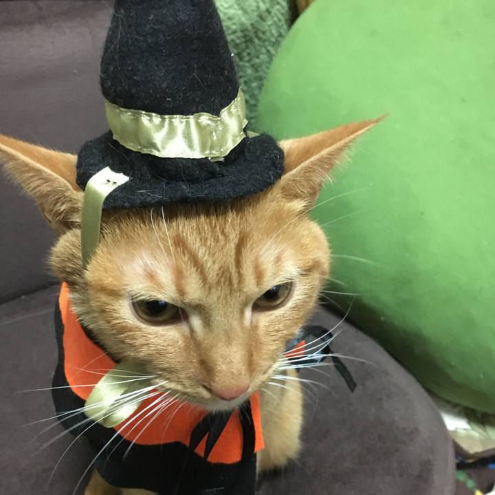 418bfb89 9058 4803 aa00 7b5adac1b4f1