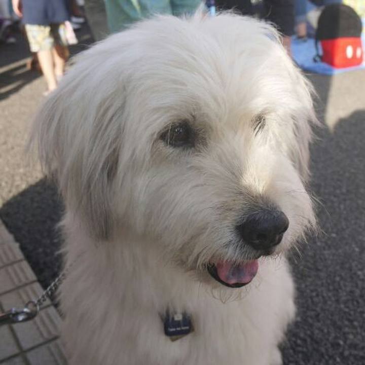 418c46c0 4391 49c9 94c1 7b19cba8d2fc