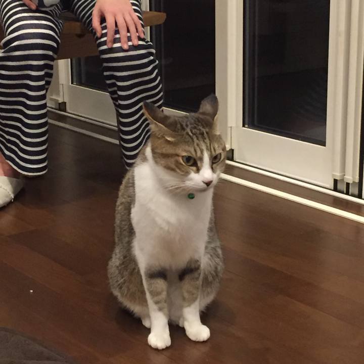 418c7262 0e34 4b8c ae85 1e530b3db121