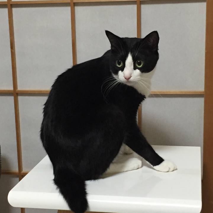 418d0d96 5090 4e42 879c c48150b750df