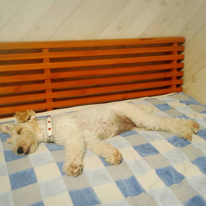 418ddefb 4f98 405b 89bc 25d0ca1e3659