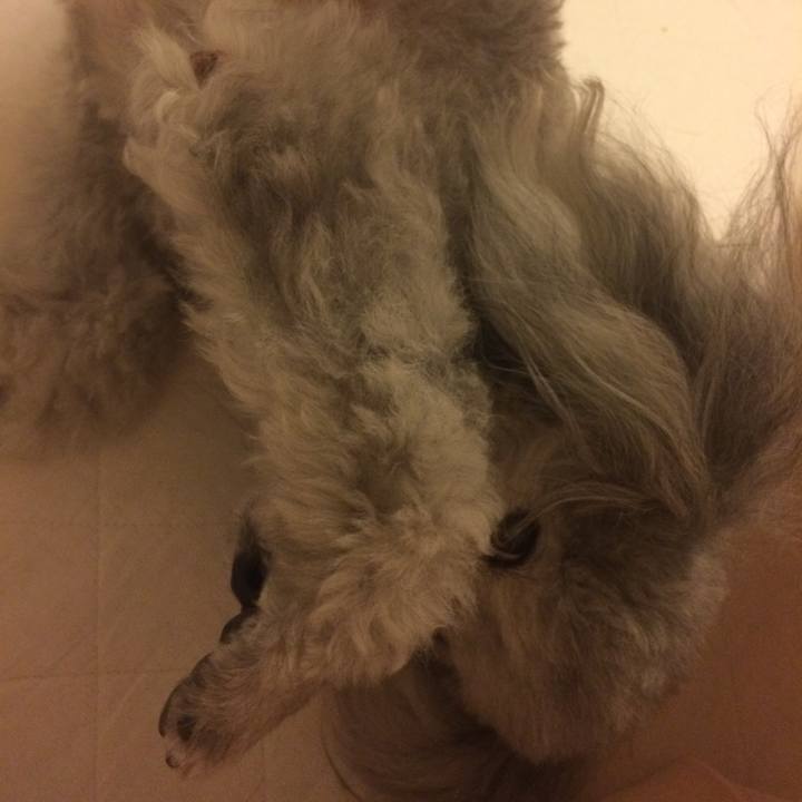 418e8912 8187 41e8 9817 69c4e83bbd65