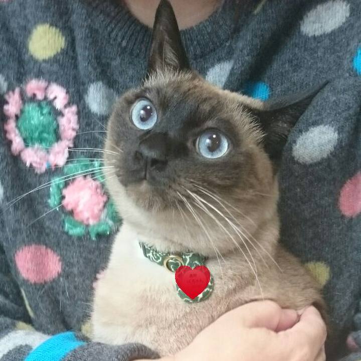 418ef902 1d9a 41ff 803b d0e940d011a0