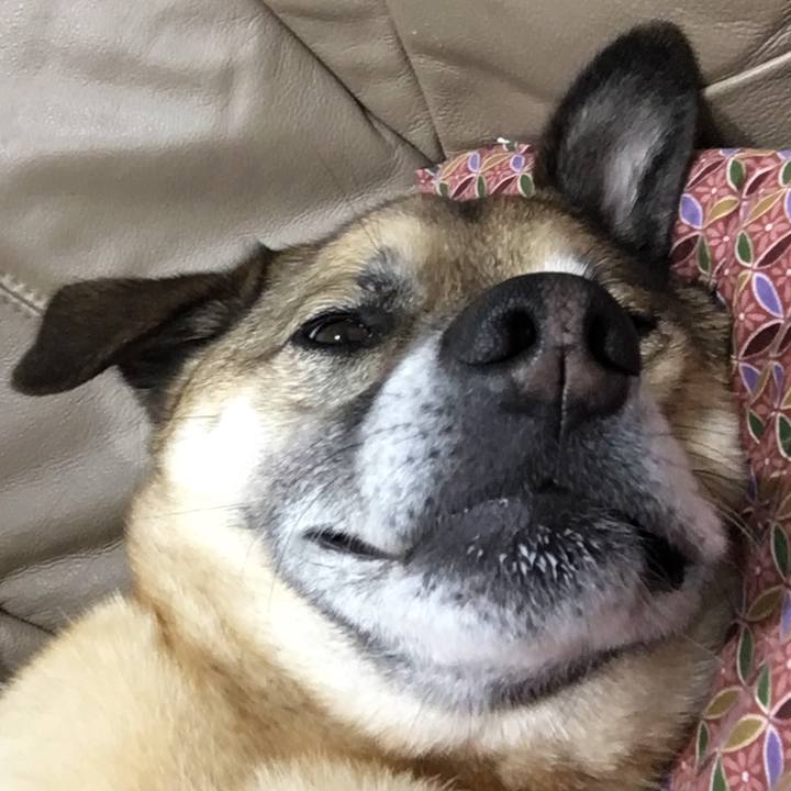 418f966b fa9c 4616 b844 b8f2dc77d9f6