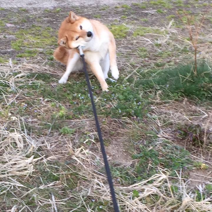 418f9ff4 6c6f 47c1 a8cc 7254ab94d050