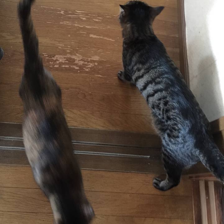 418facaf 9130 4f80 85c8 bbc186f4aa06